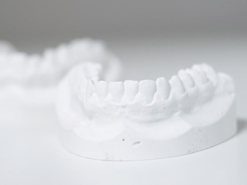 Modello anatomico dentale